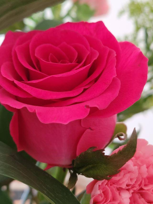 Fold|iPhone 12发布了，我们来谈谈三星Galaxy Z Fold 2半月的使用体验