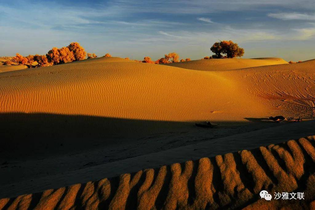 活动|沙雅十六万元摄影大奖等您拿！