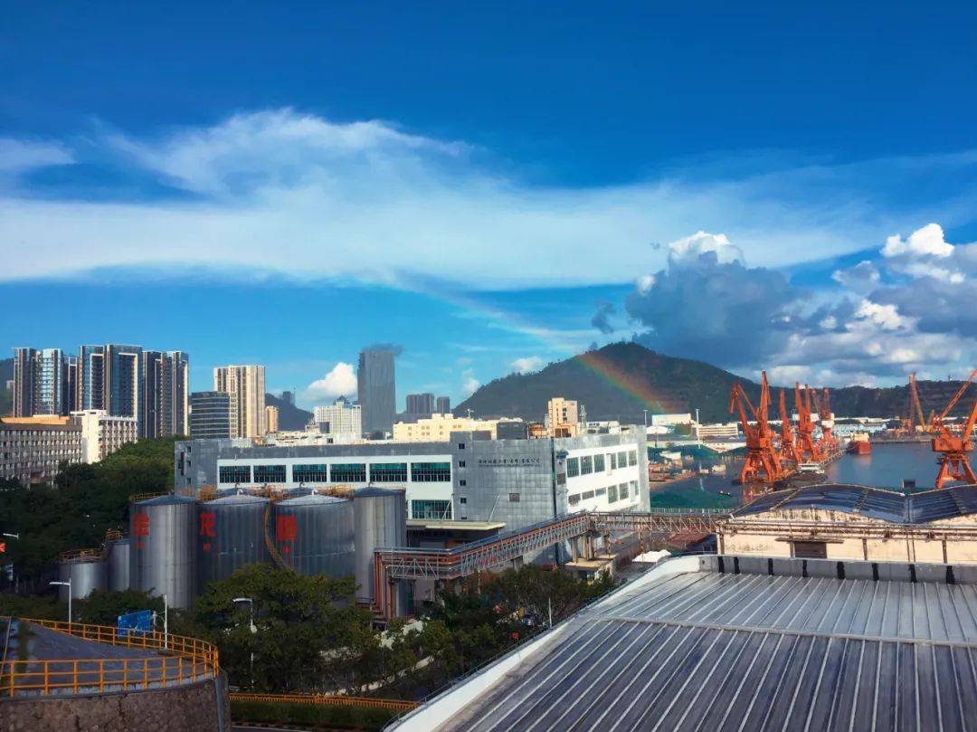 上市|“鱼”跃创业板！益海嘉里金龙鱼成功首发上市，品牌渠道实力强化龙头地位