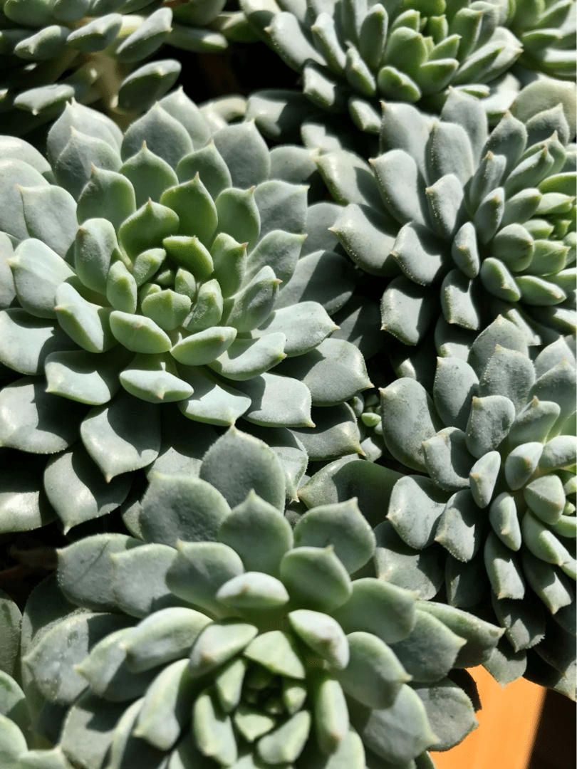 3056d8031f3f4b2e9a0f2e0eb1b1cb71.png
