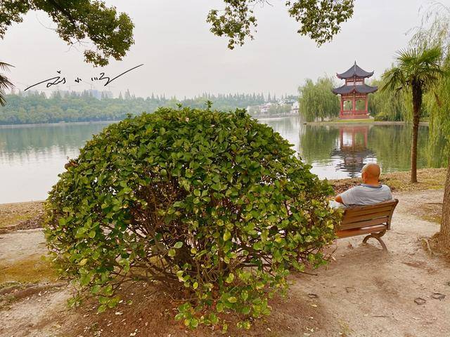 湖北荆州“最尴尬”的公园，占据古城重要位置，却几乎是荒废状态_三国