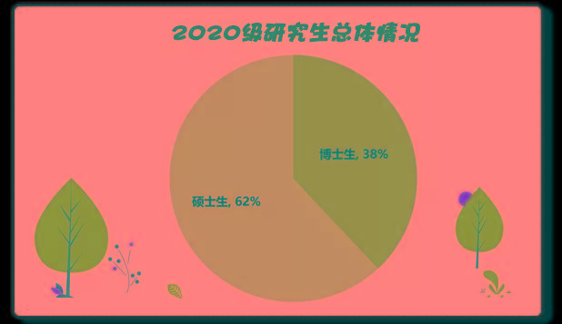 新生|2020年研究生新生大数据分析