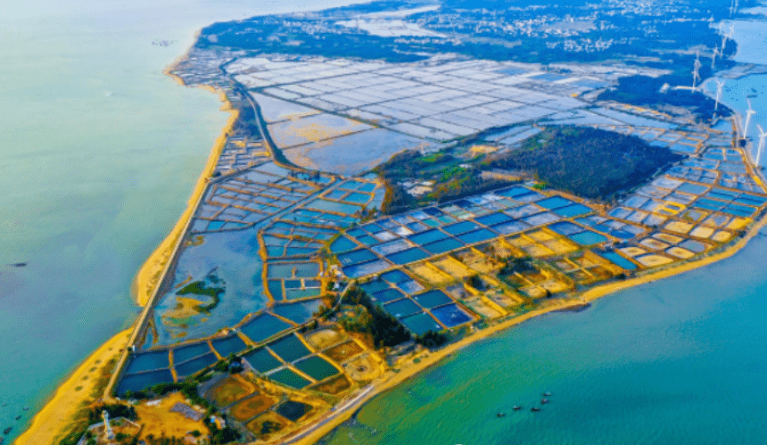 湛江市一八年经济总量多少_湛江市2020年一模考试(2)