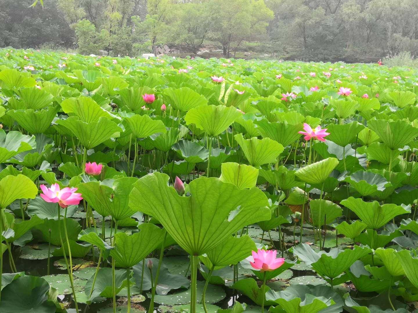 慎报|211的身子985的分数！这些211高校要慎报