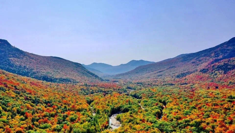 十一黄金周激光电视业绩抢眼，海信打造彩电消费新引擎-家电圈官网