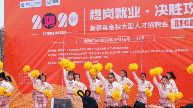 工作|新蔡县举办2020年“稳就业保民生·保就业兜底线” 金秋大型人才招聘会
