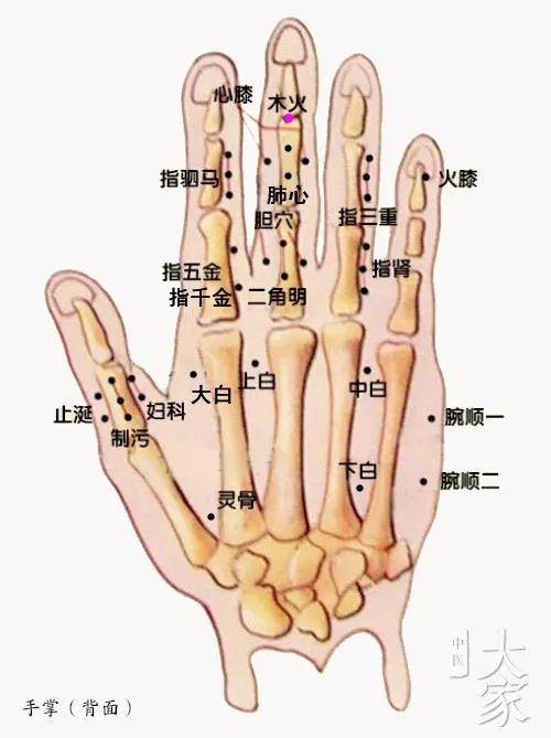 董氏穴位分享:一一手指部位·木火穴(中医分享,仅供参考)