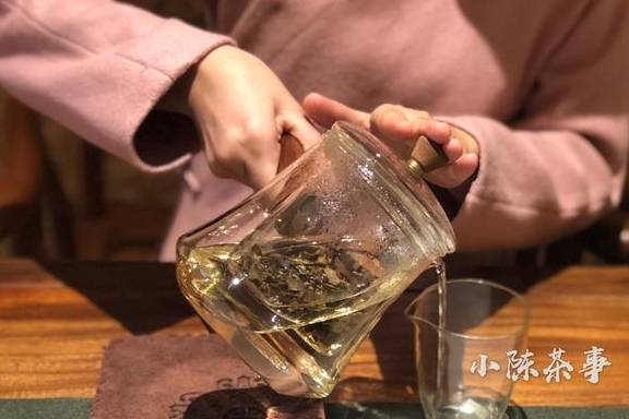 新茶|但是老茶是要闷的，请别在相信这无稽之谈新茶有些不太适合闷泡