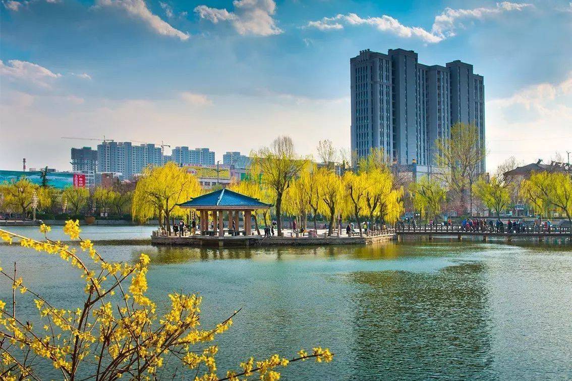 2020泰安市各个市区G_泰安市地图