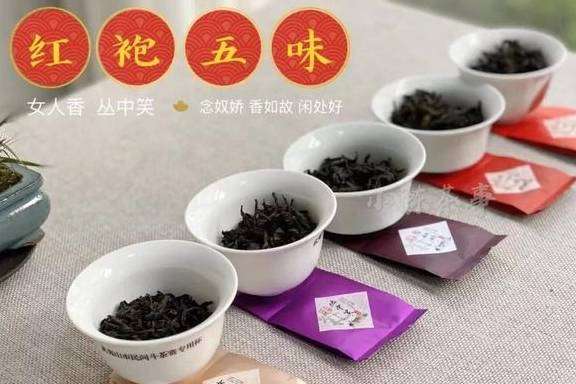 福鼎|喝茶是喝品质，还是盲从大师？无论白茶、岩茶、普洱茶、红茶