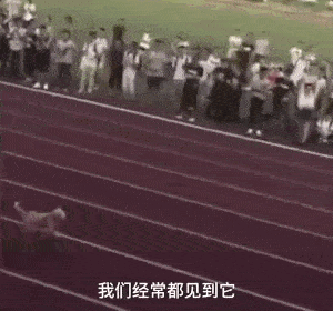 流浪狗|家长质疑学校里有流浪狗，校长却亲自为它们组织了一场演讲……