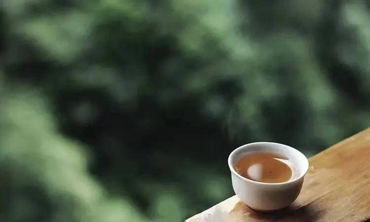 白茶|你喝到过粘稠感么?在老白茶的茶汤里