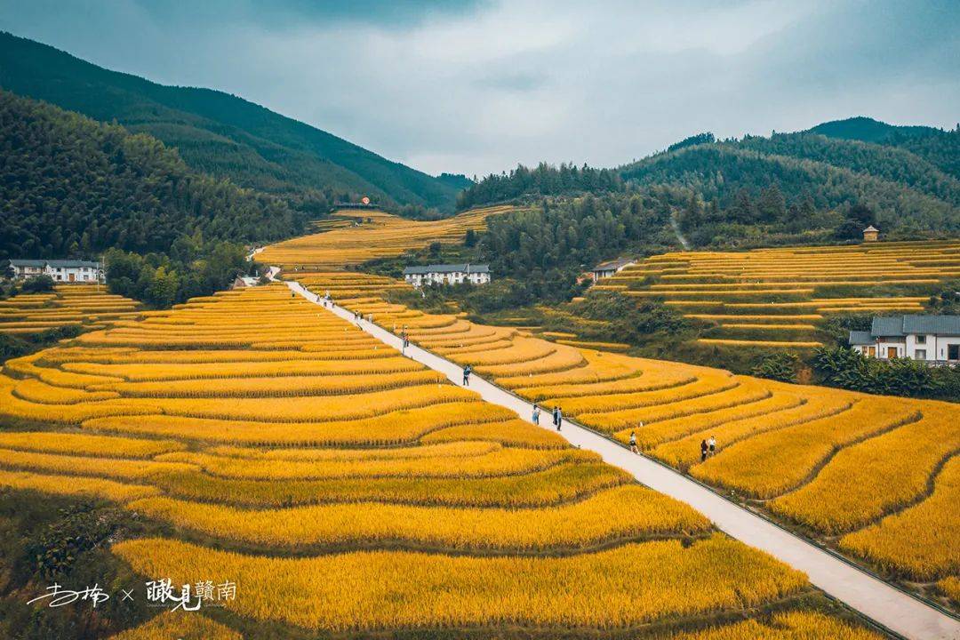 安远风山多少人口_安远镇岗风山景区(2)