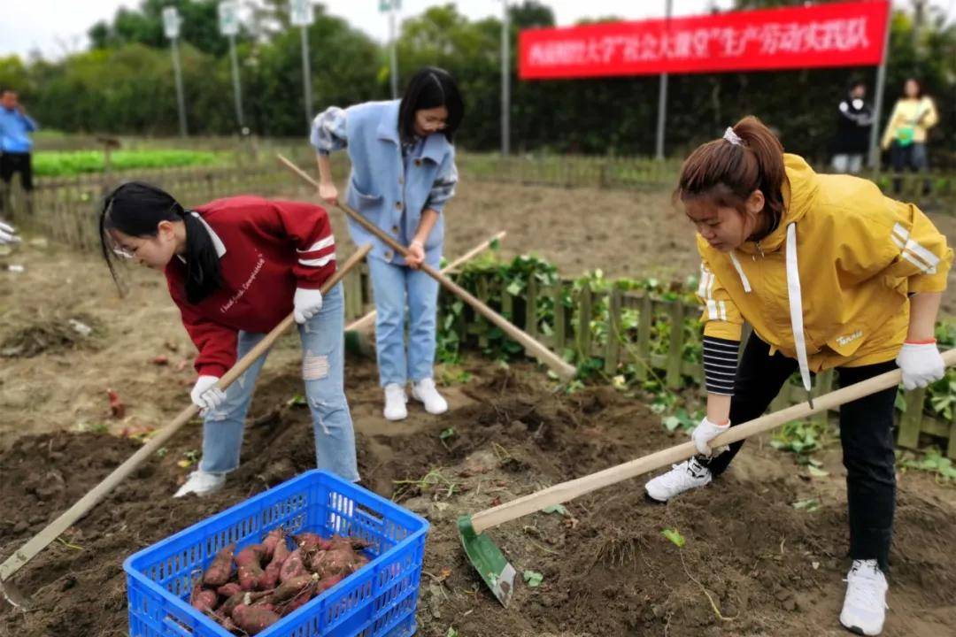 西南财经大学"社会大课堂"生产劳动实践暨广汉市大学生劳动教育实践