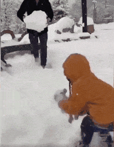 小主人马上要放学了,我得赶紧去接她 池塘的水满了,我们一起来抓泥鳅