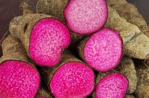 喝什么降糖减脂 d948997d05ba49b2a79b7baac6c40adf.jpeg