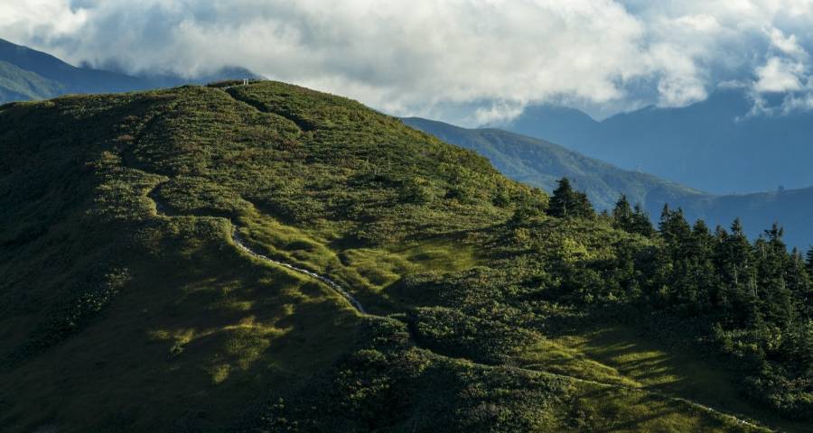 小家电行业的资本盛宴应该歇歇了！-家电圈官网