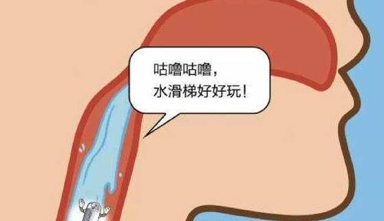 68d95751a7fc44878247a29d7441e055.jpeg