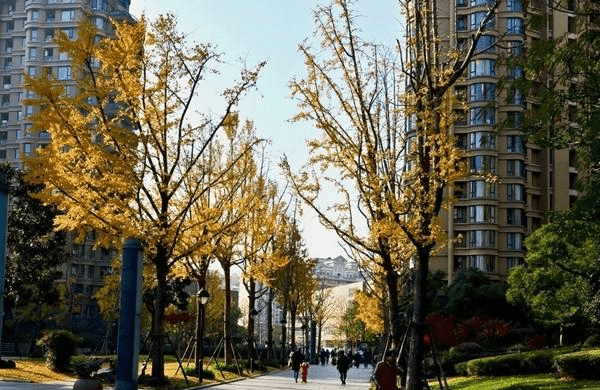 居民平均人口_人口平均寿命图