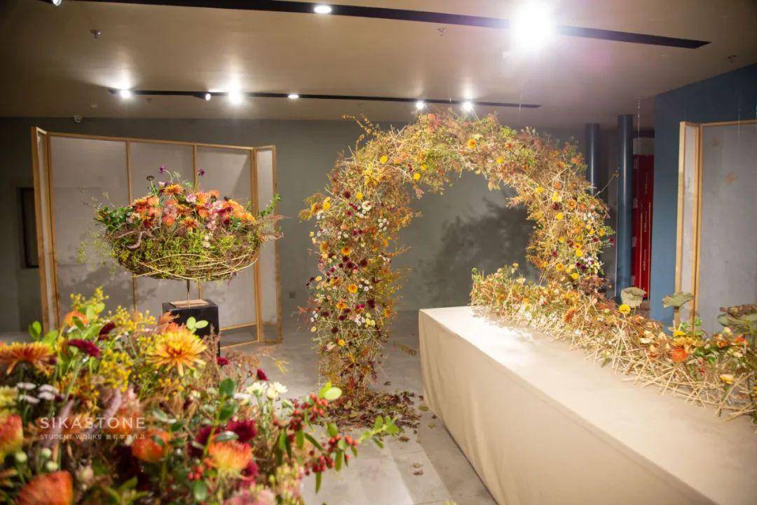 一场华丽丽的"花展,实现秋天的金色梦想_手机搜狐网