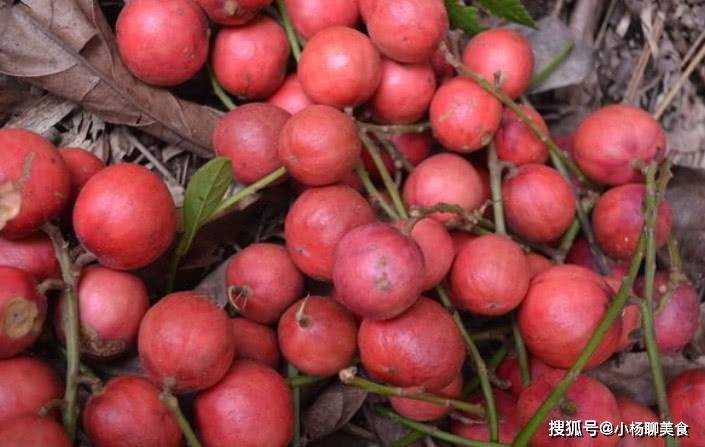 肌肤|咳嗽不咳，肌肤细腻了，早食早受益女性晚上当零食吃几颗