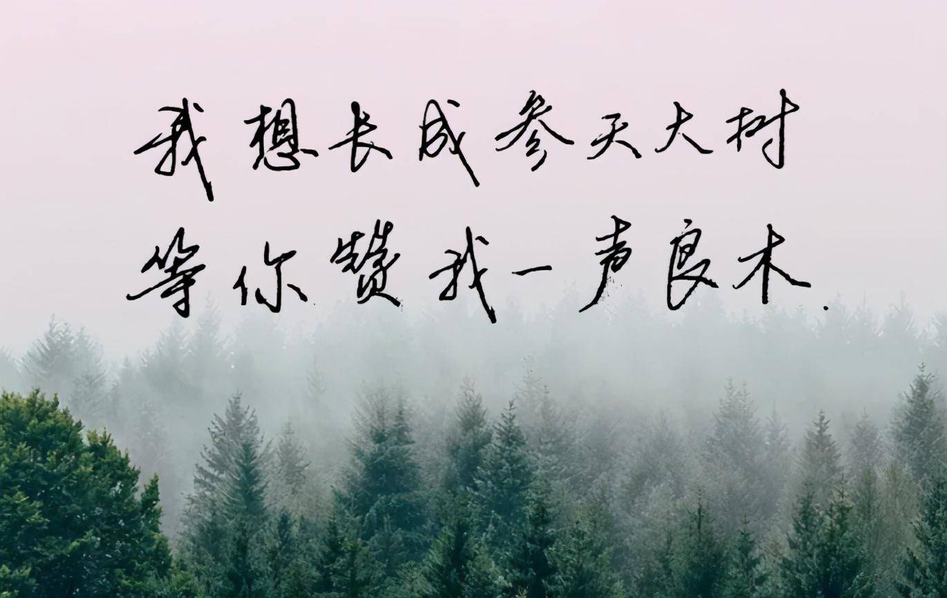c48eeac55c814a37b7379813ce85d1d7.jpeg
