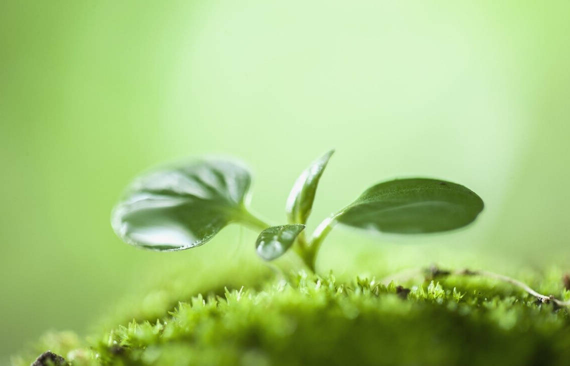 什么时候才能不在意别人的想法 4eb0cc0fc248467e81d4b5995dd289bc.jpeg