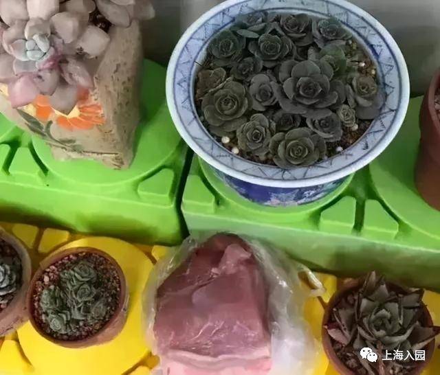 作业|逼疯家长的幼儿园手工作业！有你的同款吗？某家长表示，想去垃圾回收站工作！