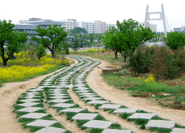 2020年临床医学院校_比赛催人、成绩喜人——延安大学医学院第四临床医