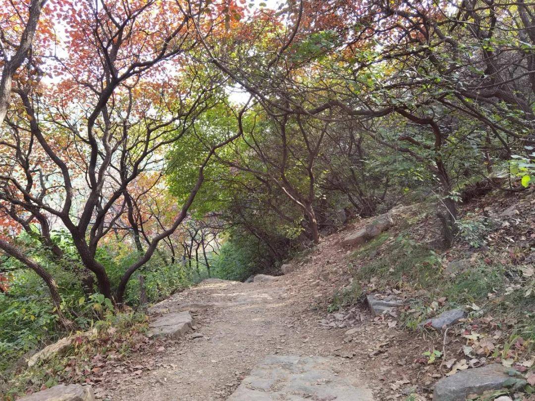 秋游济南秘境佛峪大峡谷 秋游济南秘境佛峪大峡谷