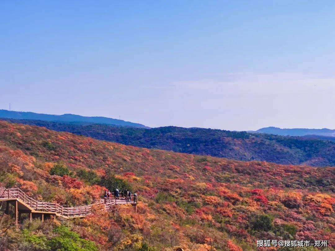 青天河万亩红叶红动全国!_景区