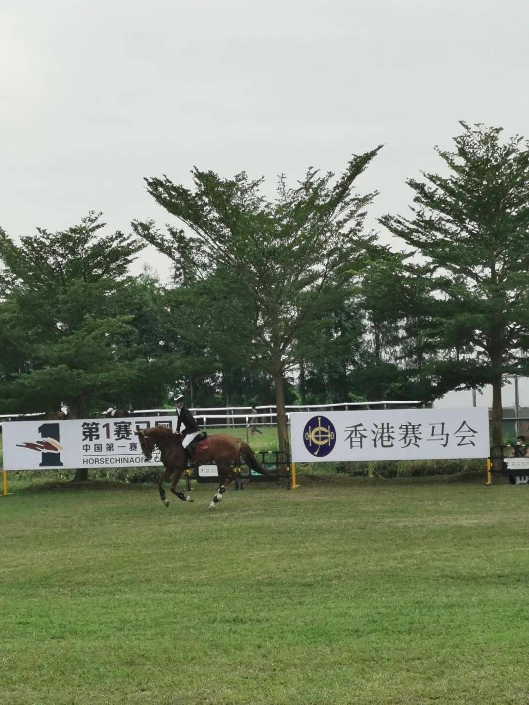 赛果图集205对人马草地角逐粤马术联赛珠海菲尔站圆满成功