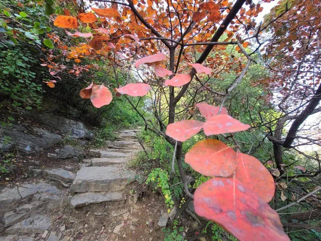 秋游济南秘境佛峪大峡谷 秋游济南秘境佛峪大峡谷