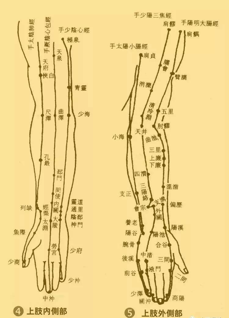 病在皮肤(阳之阳)取阳经合穴,如皮肤瘙痒,荨麻疹等病常用大肠经曲池穴