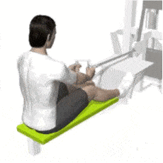 背有|女生多练背有什么好处？如何练出女神的蝴蝶背，提升气质？