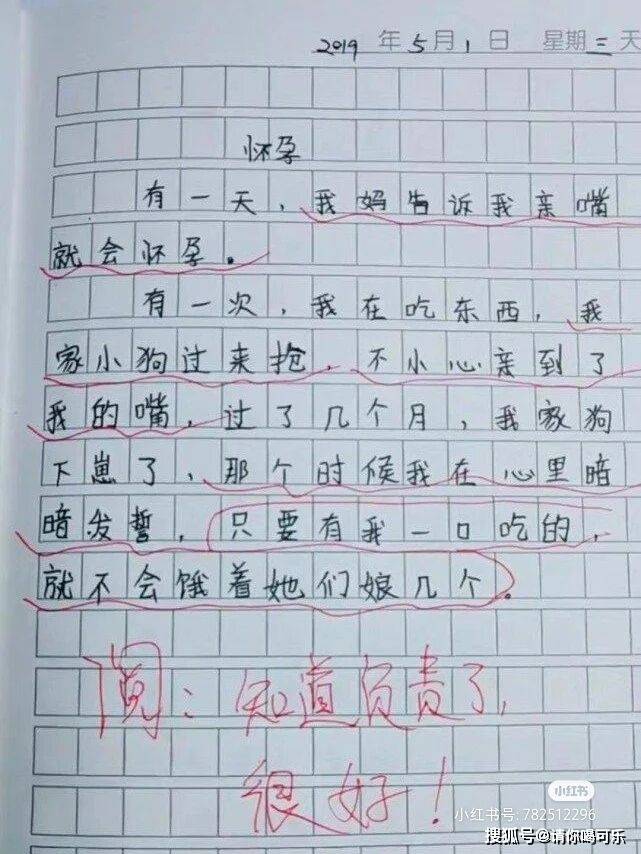小学生搞笑作文,你是不是也这样写过