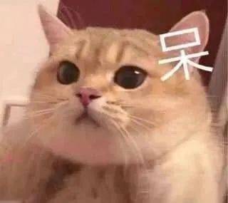 和老师抢屏幕、网课开视频洗澡……留学生的“