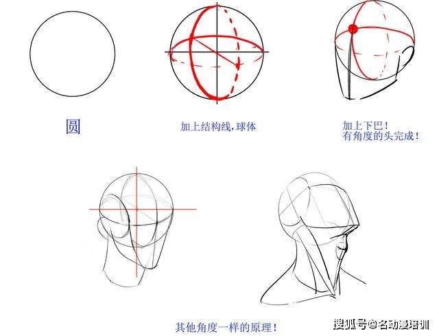 如何绘画头部?