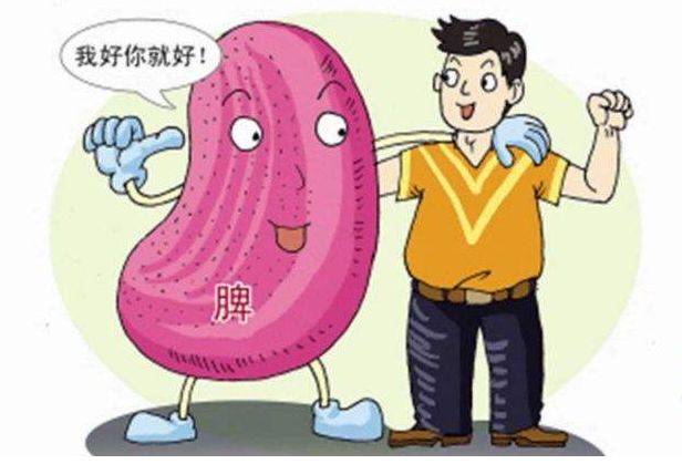 做什么运动可以改善脾胃虚弱 1abbba5626534b4b85e46cf929589199.jpeg