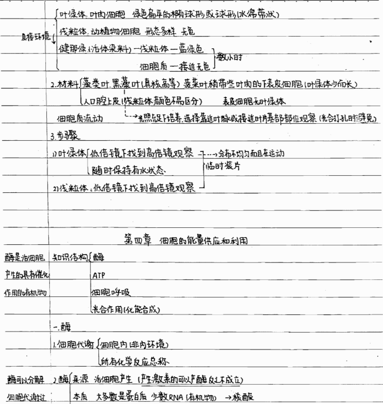 高中生物最全手写笔记!学霸是这样炼成的