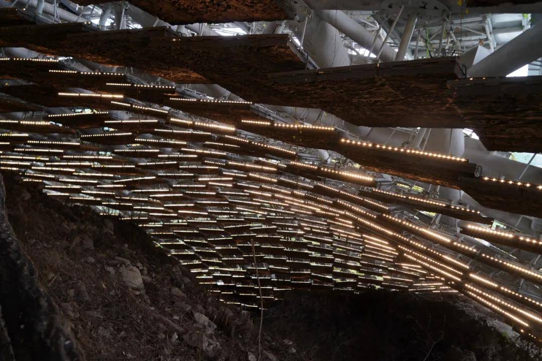 头盖骨|北京西南郊小山包 为何成为世界文化遗产