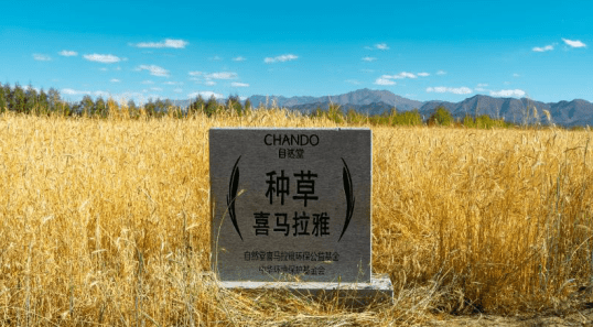 喜马拉雅|Boss进直播间还有这种福利？又是一大波好物为你而来