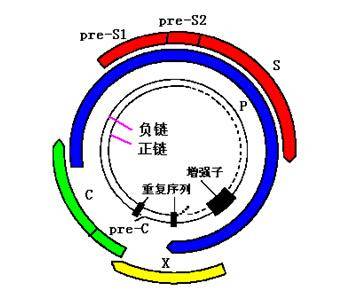 5404a16ddd7647559d6c5d3292e1c0e0.jpeg