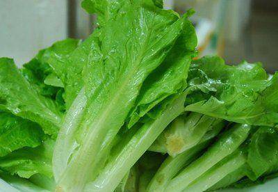 夏天什么菜好卖一点 6696195ee3e44df691315fc0e1f91649.jpeg