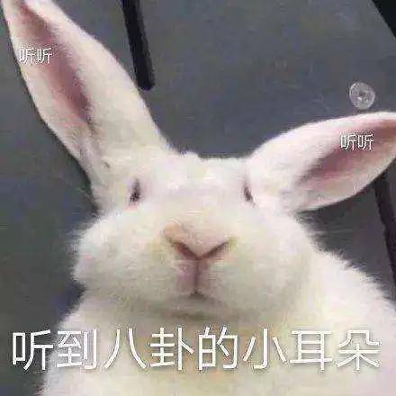 阿娇|阿娇前夫赖弘国不仅仍住在两人婚房中,还闹起了艳照门余震...