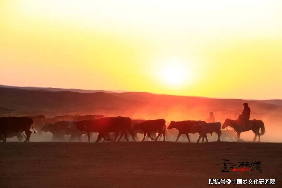 来可可托海听牧羊人讲背后的故事~洋仔完整版歌唱视频