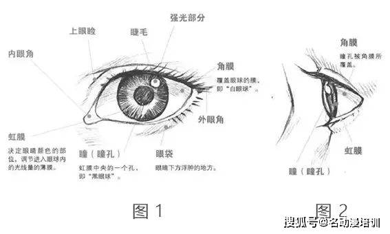 动漫里的眼睛画法_瞳孔