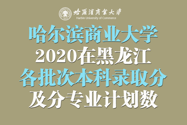 2020年黑龙江高考录_哈尔滨商业大学2020在黑龙江录取分及分专业计划数