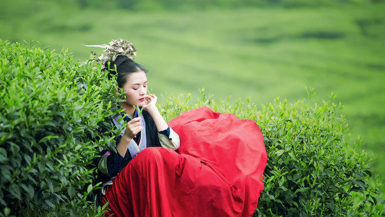 人像摄影组图:春天的茶园,乡村的泥土,田野和远方