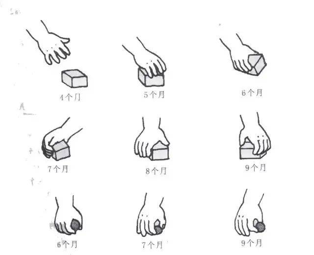 孩子的手指动作训练也叫做五指分化训练,它也是发展精细动作的第一步.